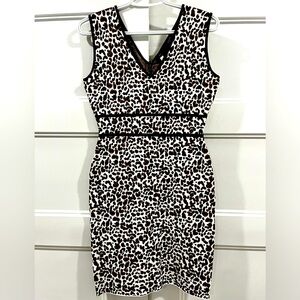 BCBG Leopard Mini Dress